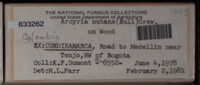 Image Associated With the Occurence